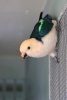 papousek_29_11_2020_17