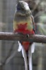 papousek_2_29_11_2020_84